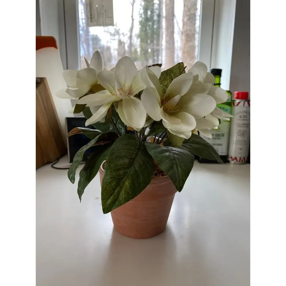 Terra Cotta Pot with Lenten Rose Fabric Flowers‎ Foliage and Moss